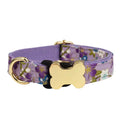Flat nylon dog collar with bone buckle and printed grid pattern in assorted colours.