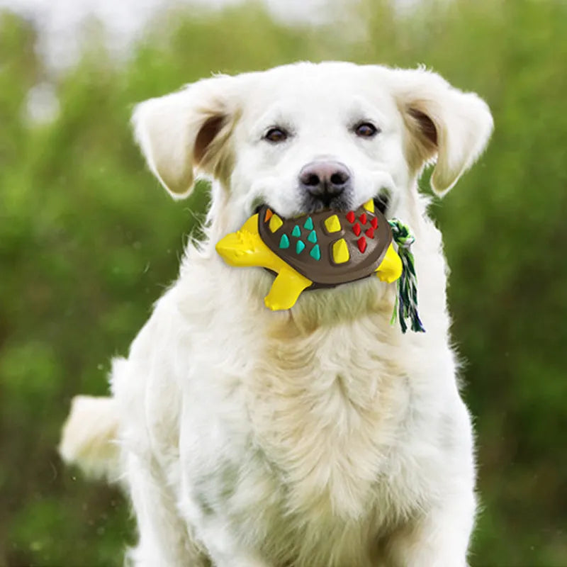 Natural rubber dog toothbrush chew toy with dinosaur knot tail in assorted colour options for dental care and tug-of-war play.