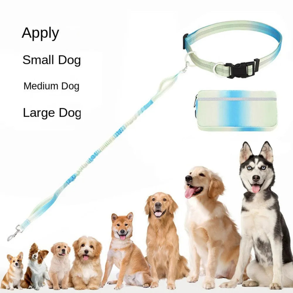 Hands free dog leash with waist belt, adjustable 120-183cm polyester traction rope, blue green pink or red