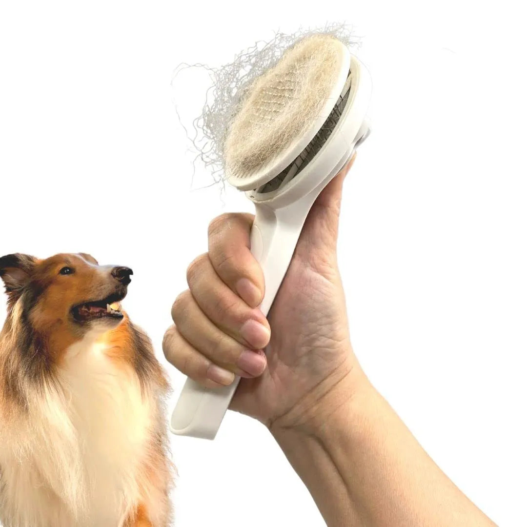 Self-cleaning slicker brush for dogs and cats with blue rubber handle and stainless steel bristles.