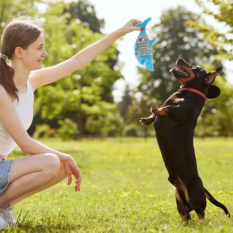 Blue leaky dog toy with shark-tooth texture for teething and dental cleaning