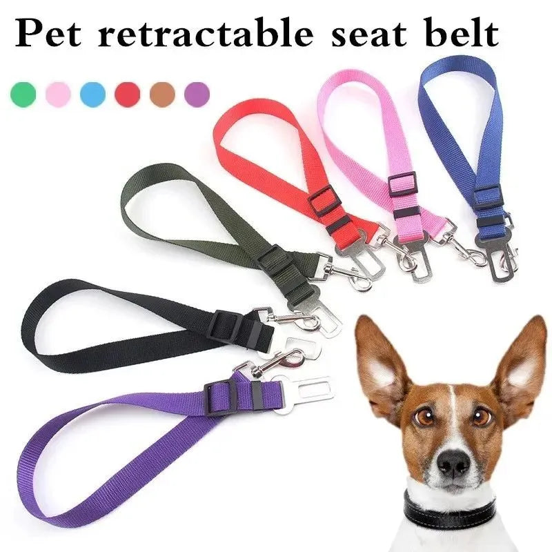 Black dog car seat belt with metal clip and adjustable polyester webbing on car seat