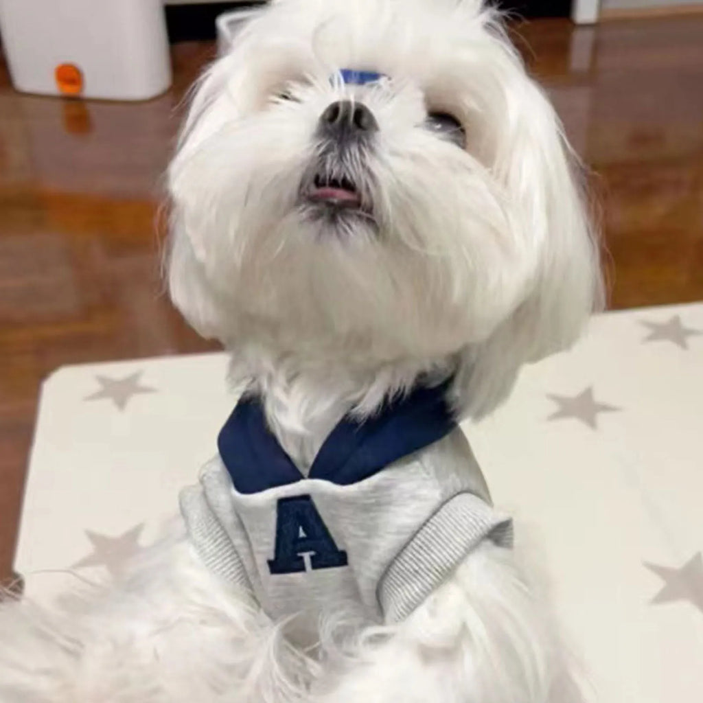 Blue polyester pet hoodie for dogs or cats with reflective white letters, slim-fitting design.