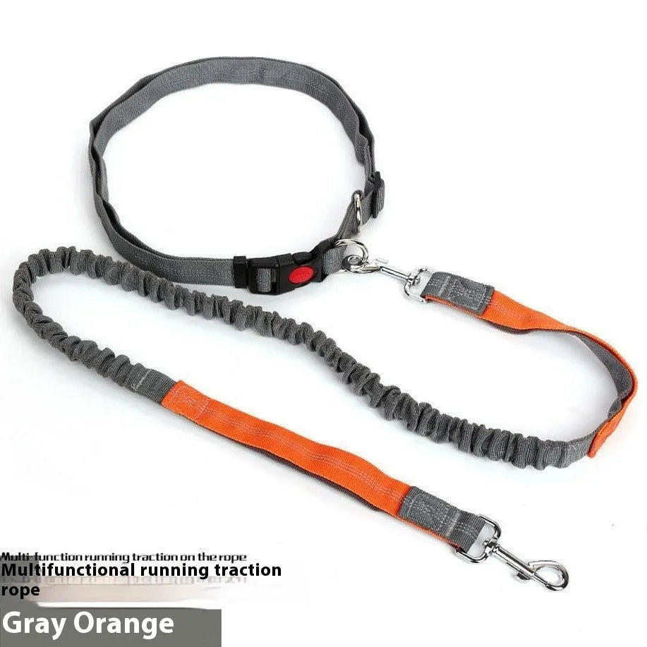 Reflective nylon dog leash with 2.5cm width shown in grey and green colour combination