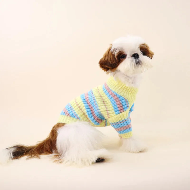 Blue and yellow striped wool dog jumper for small breeds including Xi Shi, Schnauzer, Bichon on mannequin