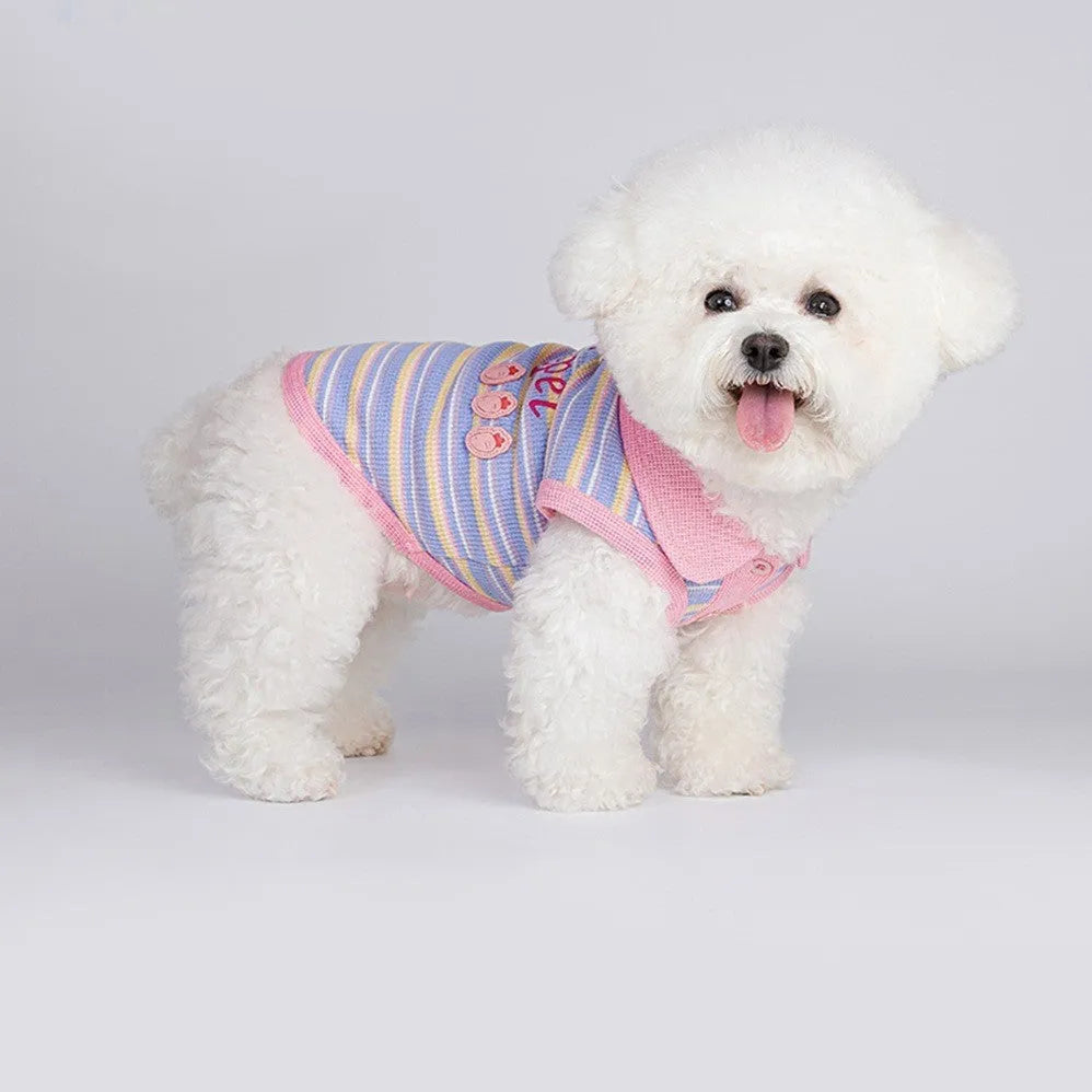 Pink purple autumn vest for small dogs showing lightweight pet clothing design