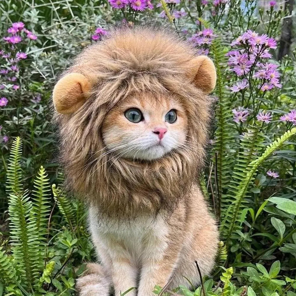 Lion mane wig for cats on a pet, showing fluffy artificial hair and plush ears with an adjustable band.