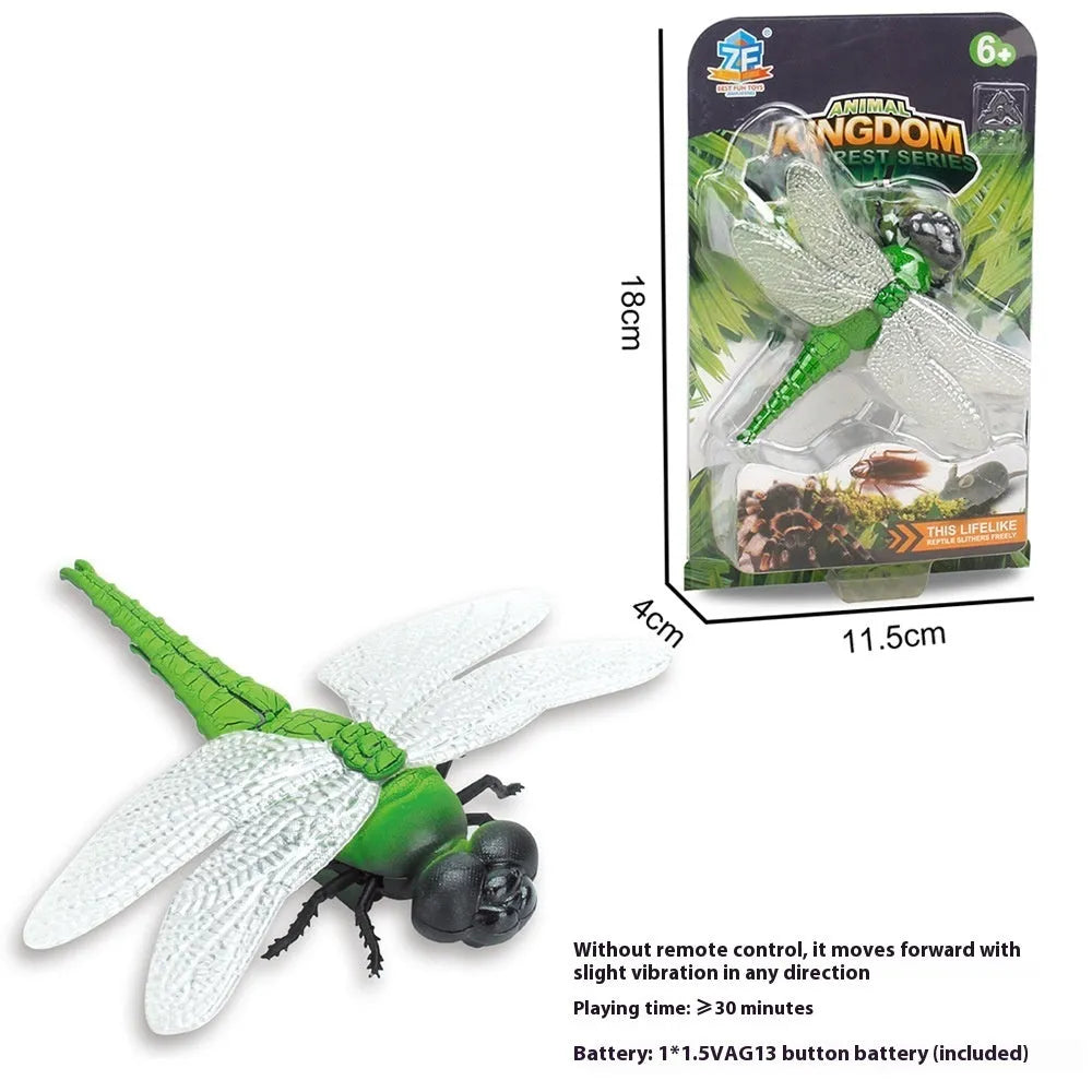 Electric vibration pet toy in cockroach, dragonfly, tarantula, or mouse design showing brush walking simulation