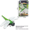 Electric vibration pet toy in cockroach, dragonfly, tarantula, or mouse design showing brush walking simulation