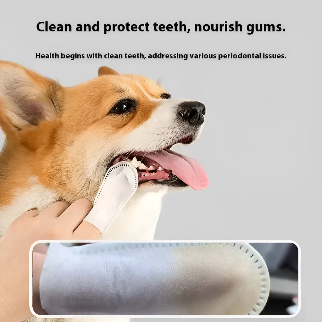Pack of 50 white pet dental cleaning finger stalls made from non-woven fabric