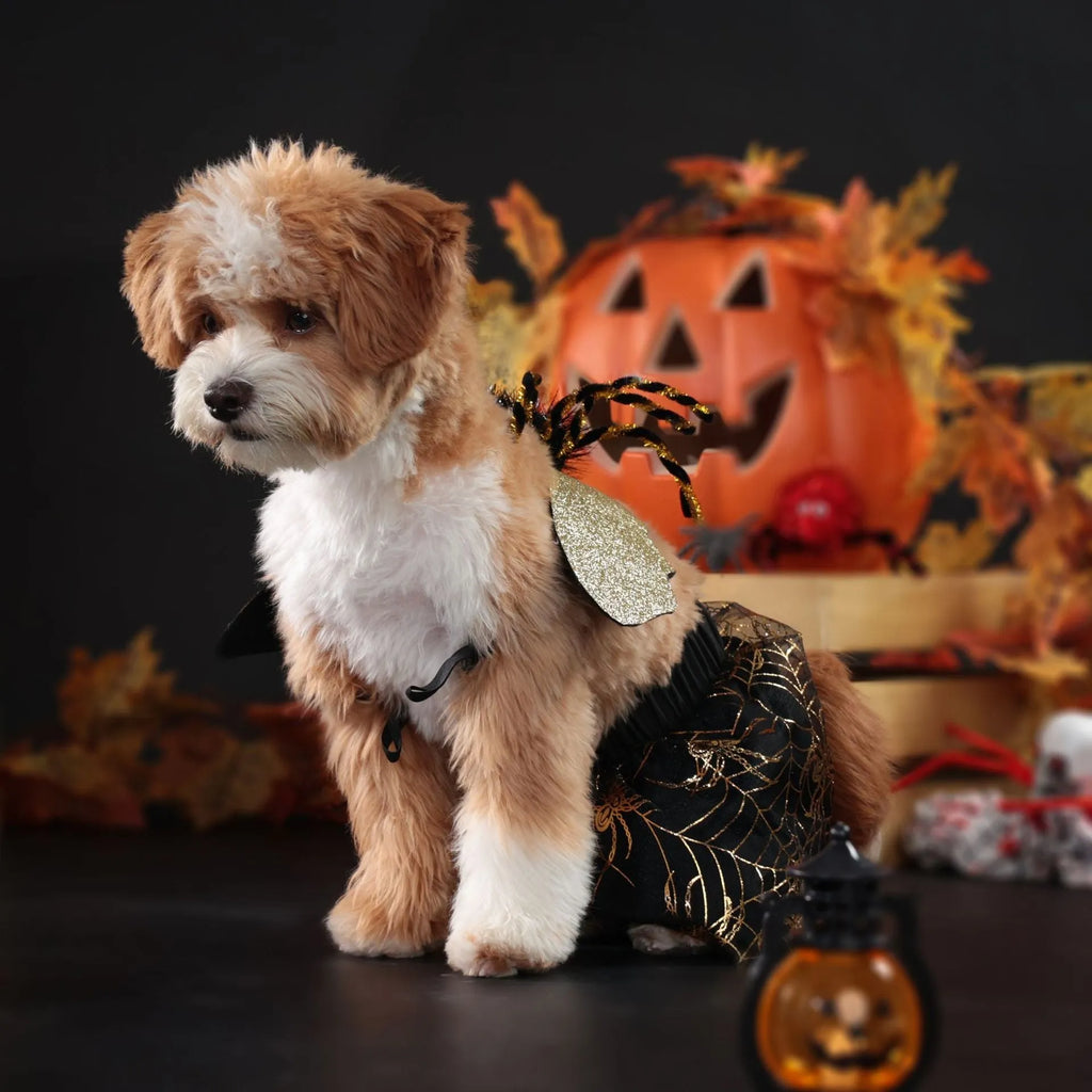 Polyester dog Halloween costume suit shown in a single colour, available in sizes S, M, L, and XL.