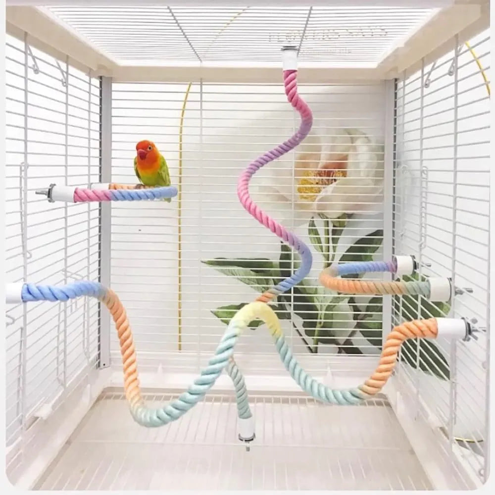 Gradient bendable bird rope perch set with U-shaped perch, long rope and circular swing in a birdcage