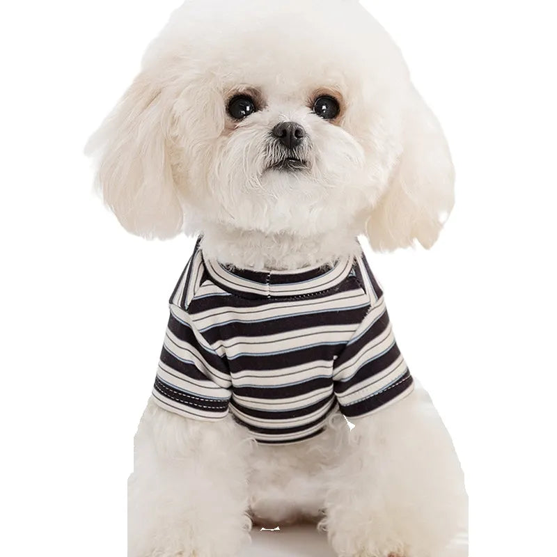 Striped two-legged pet shirt for small dogs and cats, available in yellow-brown bear patch or black-white cat patch, sizes XS to XXL.