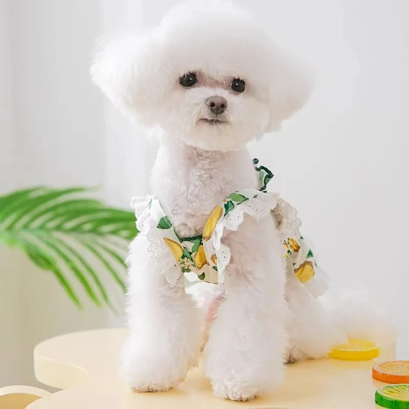 Rock yellow lemon polyester dog dress with thin breathable strap skirt, shown on a mannequin.
