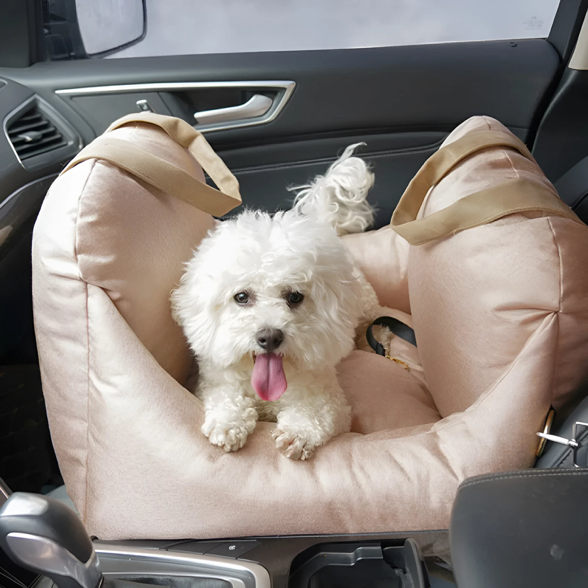 Portable washable pet carrier car seat in charcoal gray, beige or light gray, 52x52x44cm detachable cloth kennel