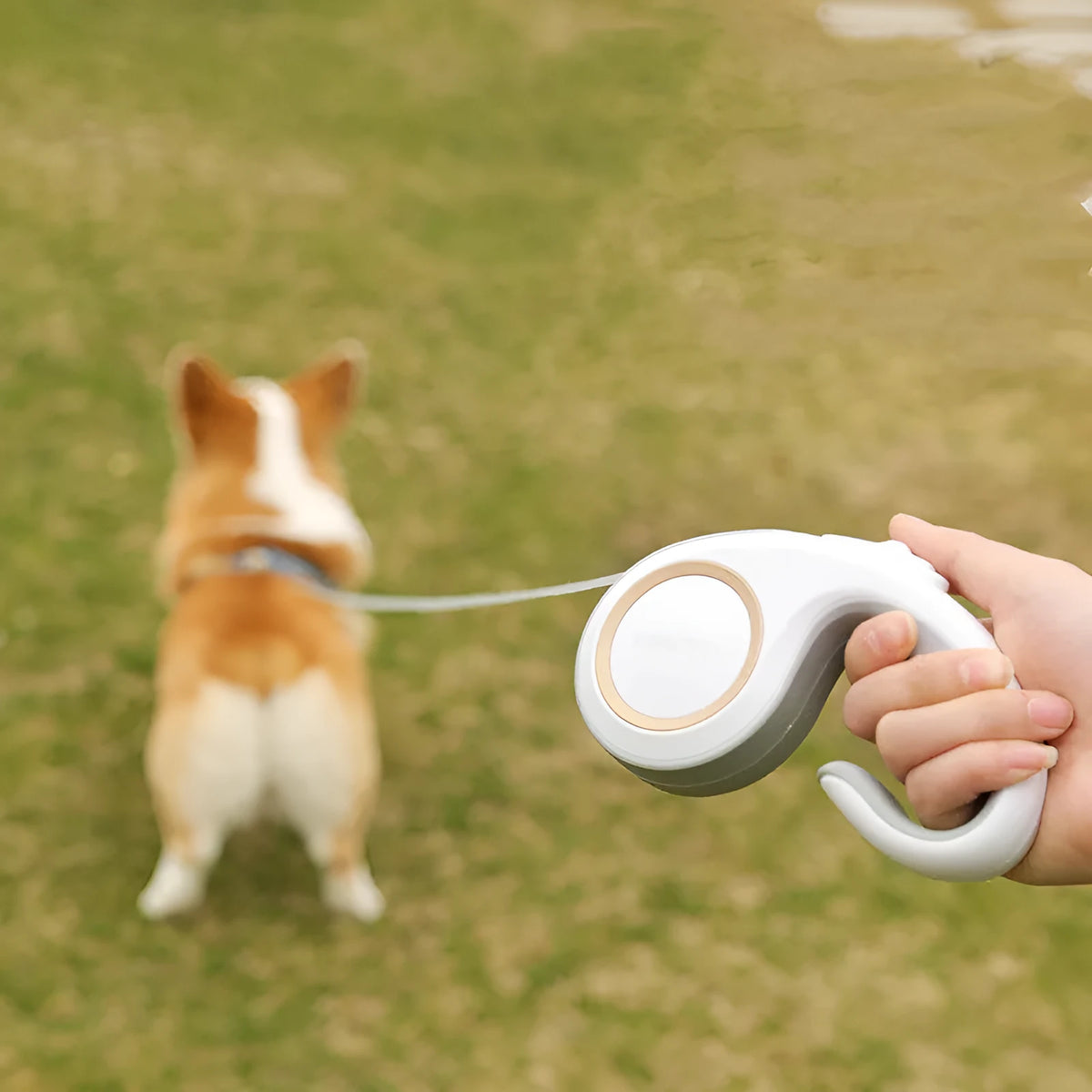 Automatic retractable dog lead with ABS body, non-slip rubber handle, and polyester rope, shown in Morandi Light Green.