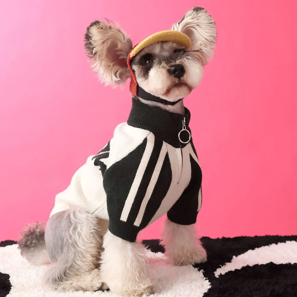 Red wool dog cardigan sweater shown on canine model with front opening and casual sports style