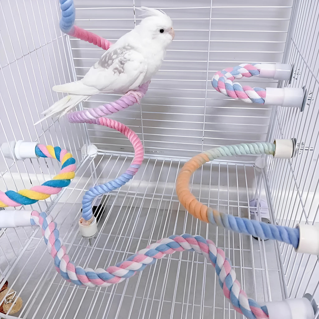 Gradient bendable bird rope perch set with U-shaped perch, long rope and circular swing in a birdcage