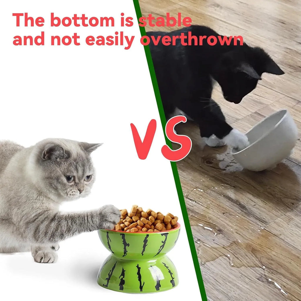Ceramic elevated cat bowl with tilted design in orange, pitaya, or watermelon pattern.