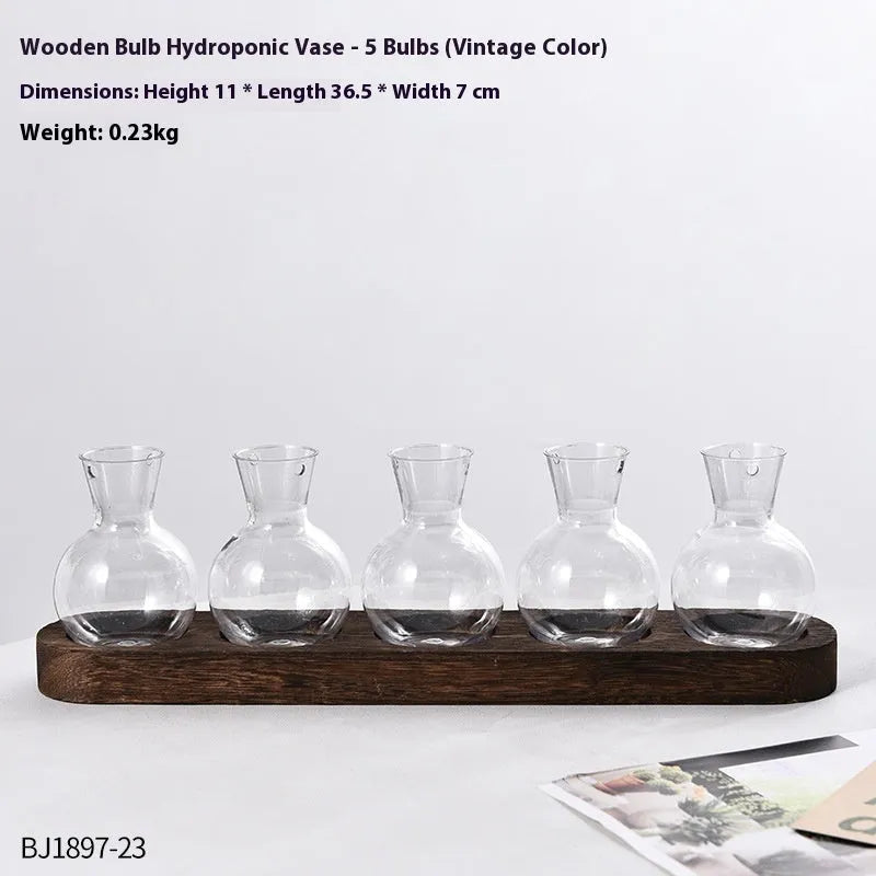 Transparent hydroponic vase on wooden frame in modern design