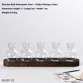 Transparent hydroponic vase on wooden frame in modern design
