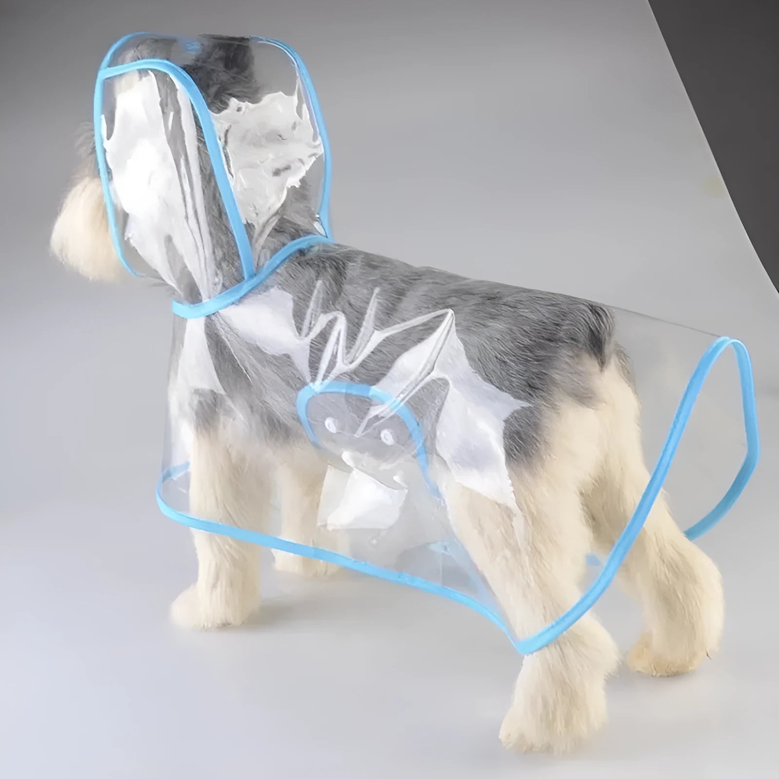 Blue plastic pet raincoat for small dog displayed on white background