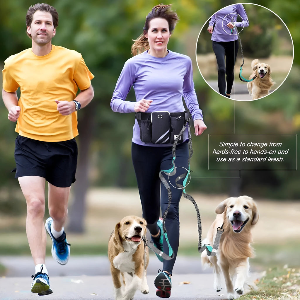 Black nylon outdoor pet training waist bag with attached dog leash and collar set