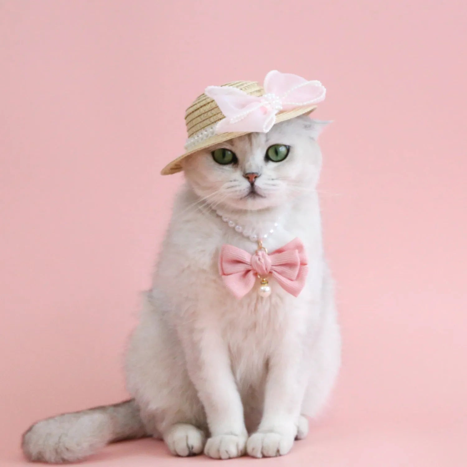 Woven Lafite leaves cat hat in princess style with pearl butterfly decoration for pet fancy dress