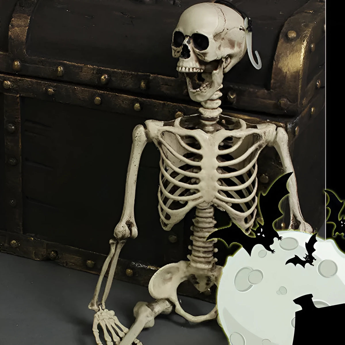 170cm tall plastic skeleton model with detailed skull for anatomical displays and Halloween decorations