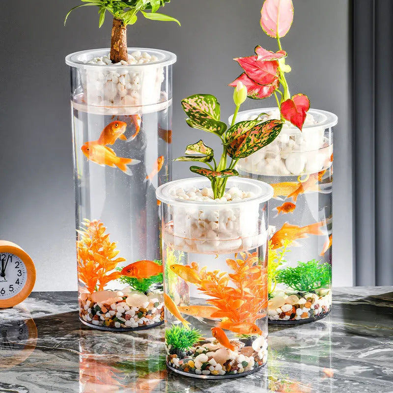 Transparent column fish tank made of PET and PP, cylindrical shape for desktop aquarium or micro landscape pot.