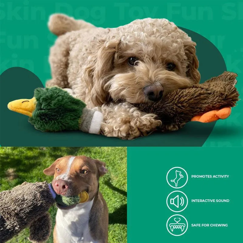 Green wild duck design stuffless dog chew toy with squeakers