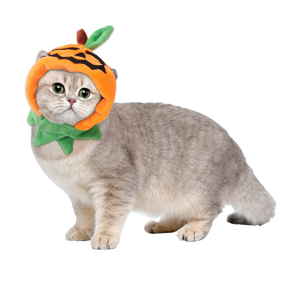 Plush Halloween pumpkin cloak for dogs or cats with optional hat in sizes S, M, L