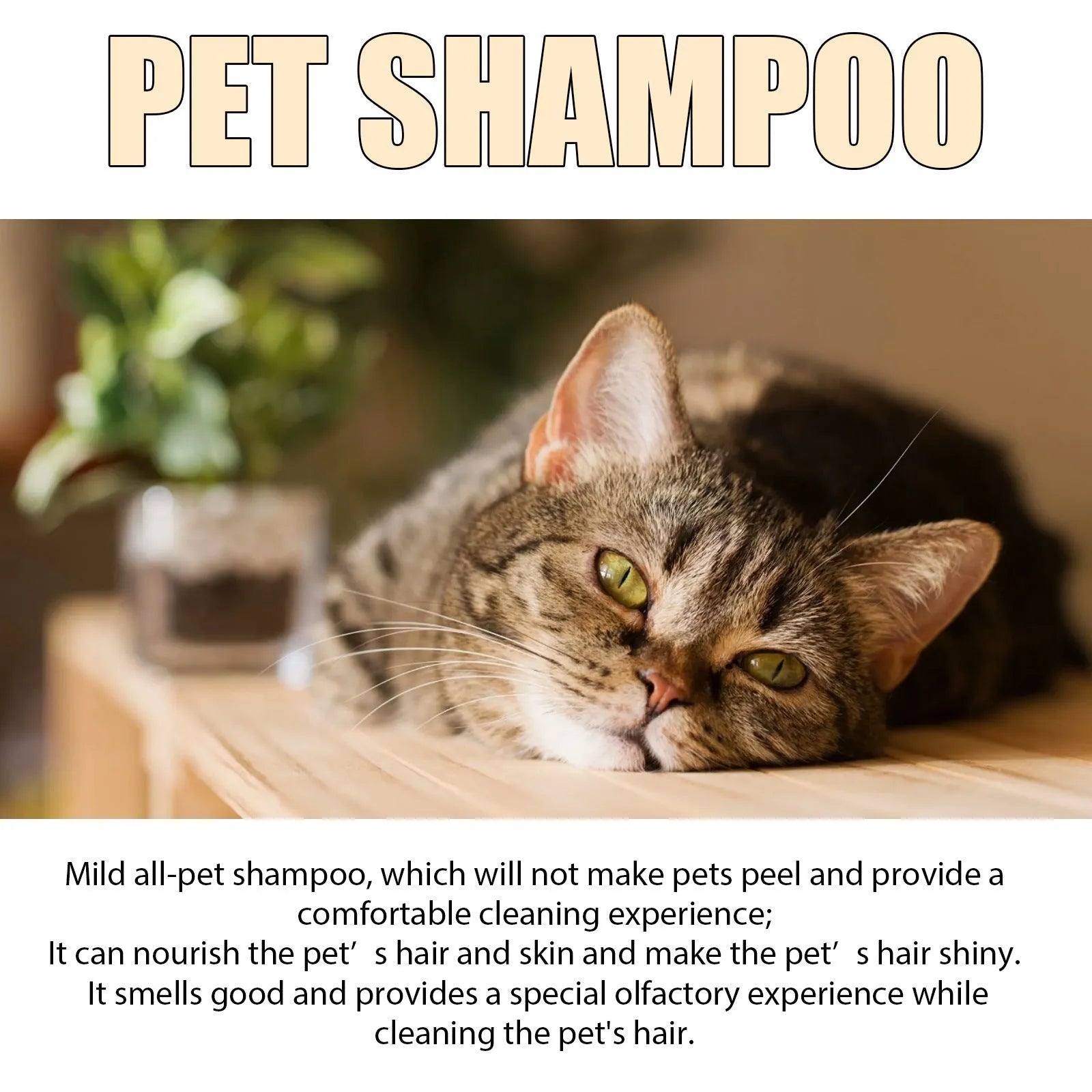 Bottle of mild pet shampoo for dogs for softening and detangling coat, shown in 100ml and 300ml size options.