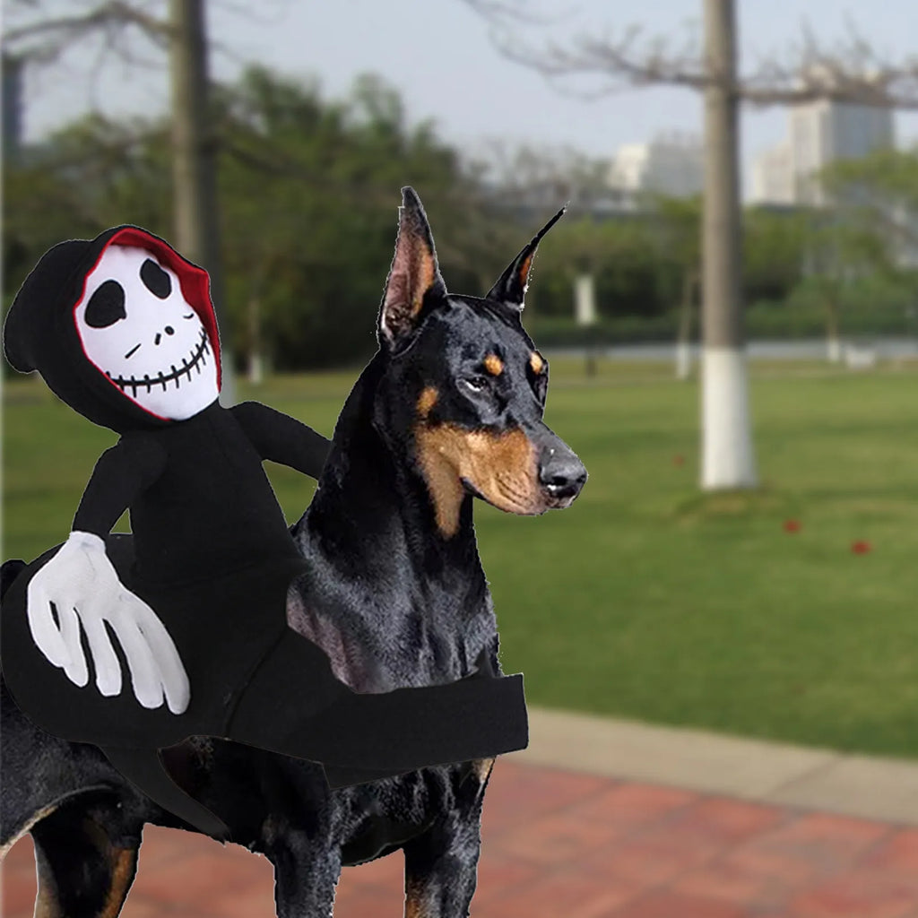 Goblin riding pet Halloween costume made from felt cloth with velcro straps in green colour on a cat or small dog.