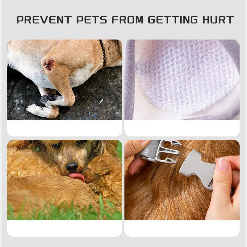 Blue dog knee protector with extra-thick padded elbow patch and adjustable buckle, shown with matching scarf