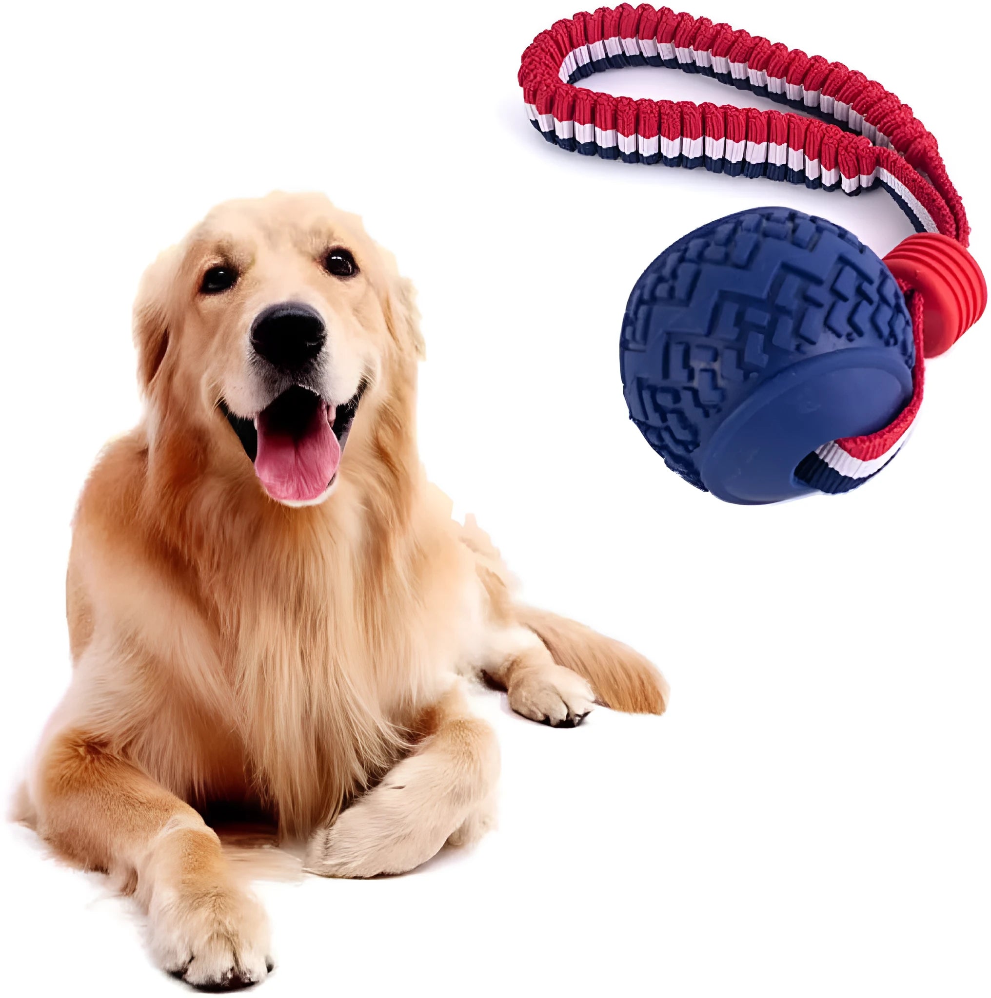 Blue natural rubber dog ball with rope handle for small breed dogs
