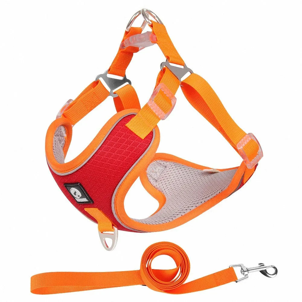 Adjustable breathable mesh dog harness with reflective stitching in multiple colour options