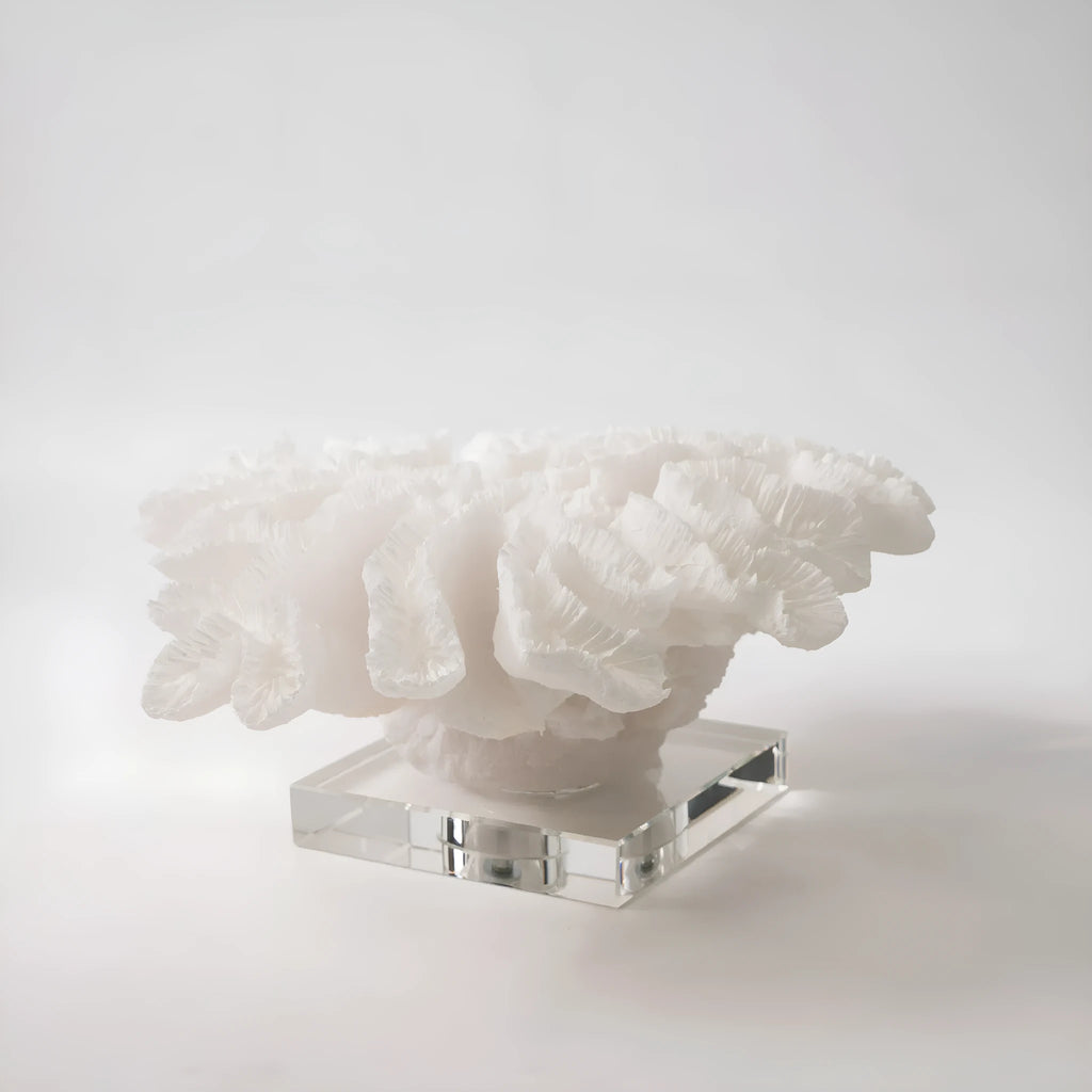 Resin coral ornament in coral colour, 34x31x15cm, on a wooden desktop
