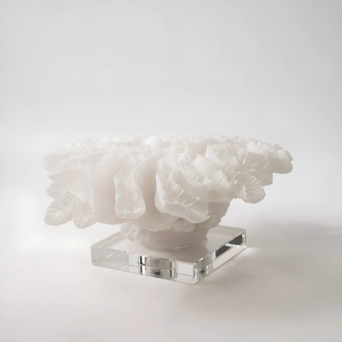Resin coral ornament in coral colour, 34x31x15cm, on a wooden desktop