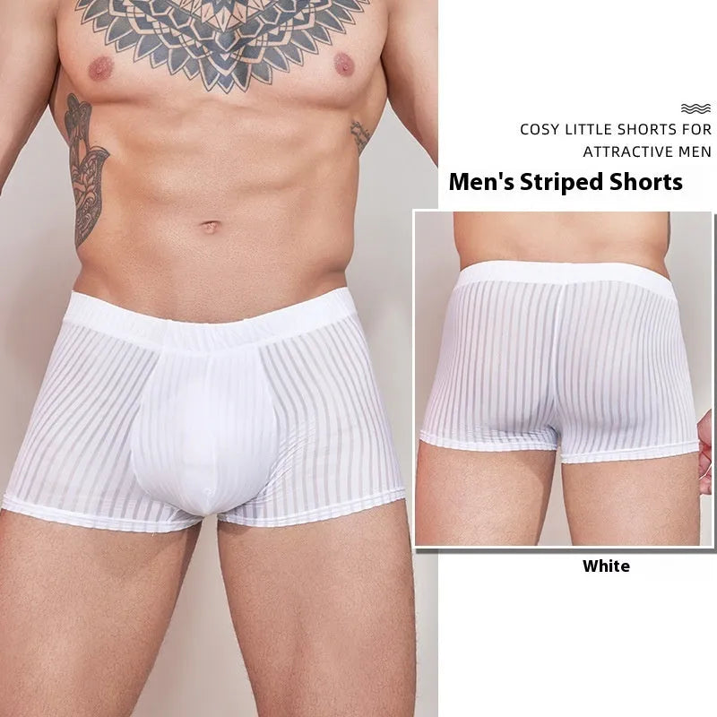 Men's black and white striped low-rise nylon briefs, thin transparent fabric.
