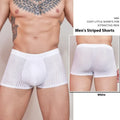 Men's black and white striped low-rise nylon briefs, thin transparent fabric.