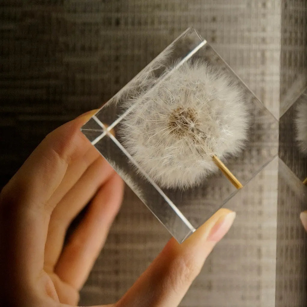 5cm clear resin cube with a real dandelion inside, on a USB LED base next to a wooden box.