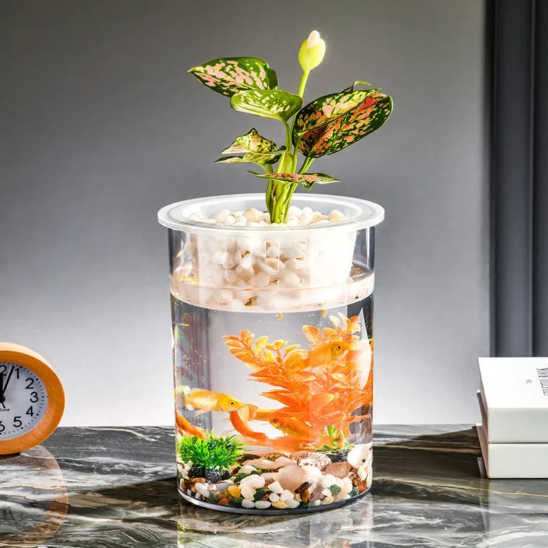 Transparent column fish tank made of PET and PP, cylindrical shape for desktop aquarium or micro landscape pot.