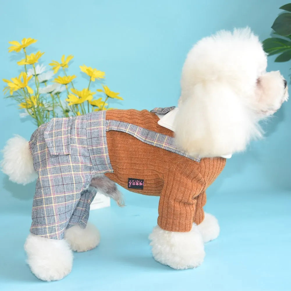 Orange and dark blue cotton dog suit shirt for small dogs in S to 2XL sizes