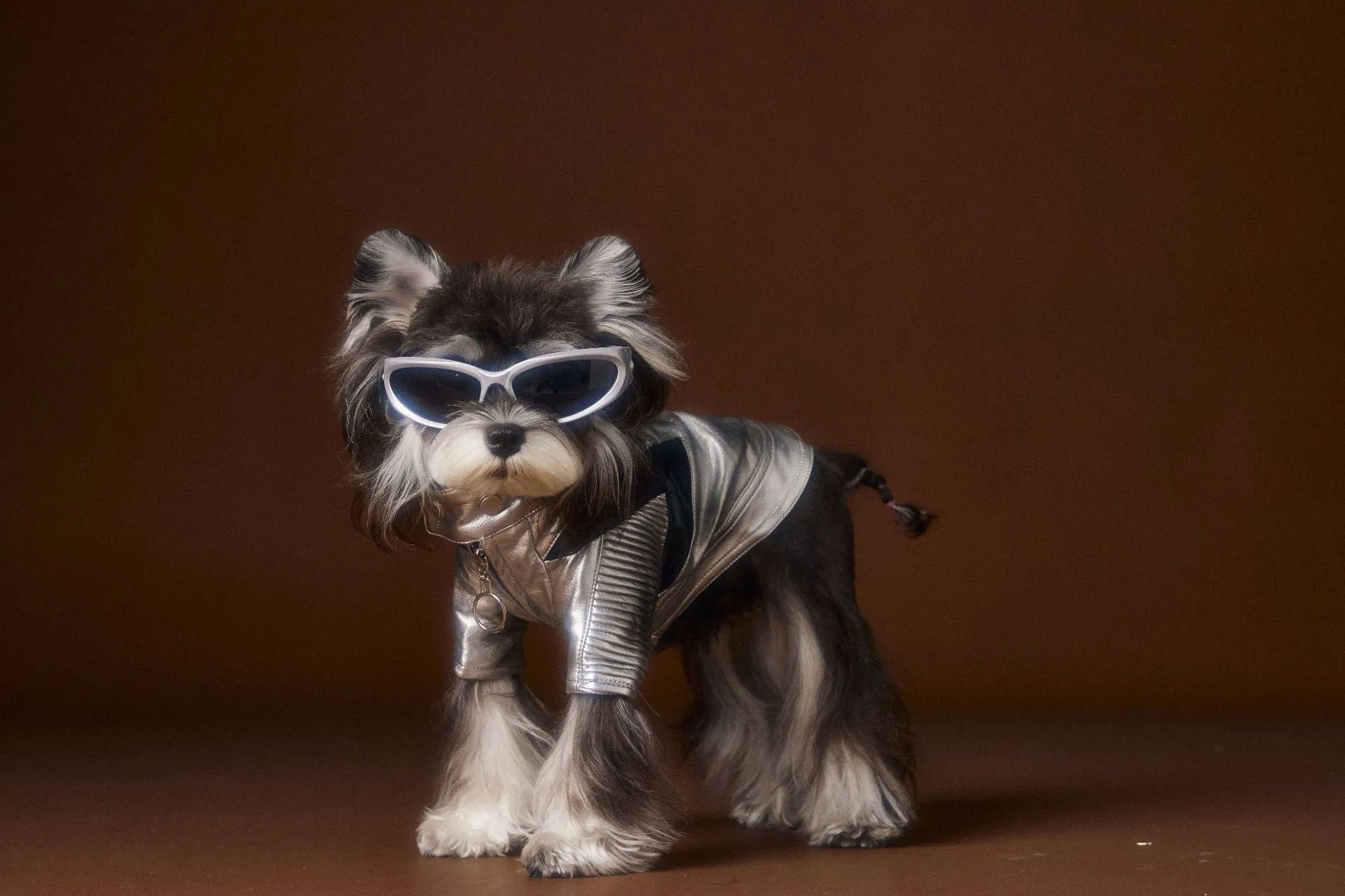 Distressed silver PU and viscose pet coat for small to medium dogs, available in sizes XS to XXL