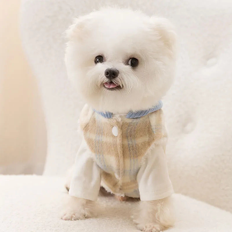 Blue chessboard grid corduroy dog vest with hooded traction feature showing weight-based sizing