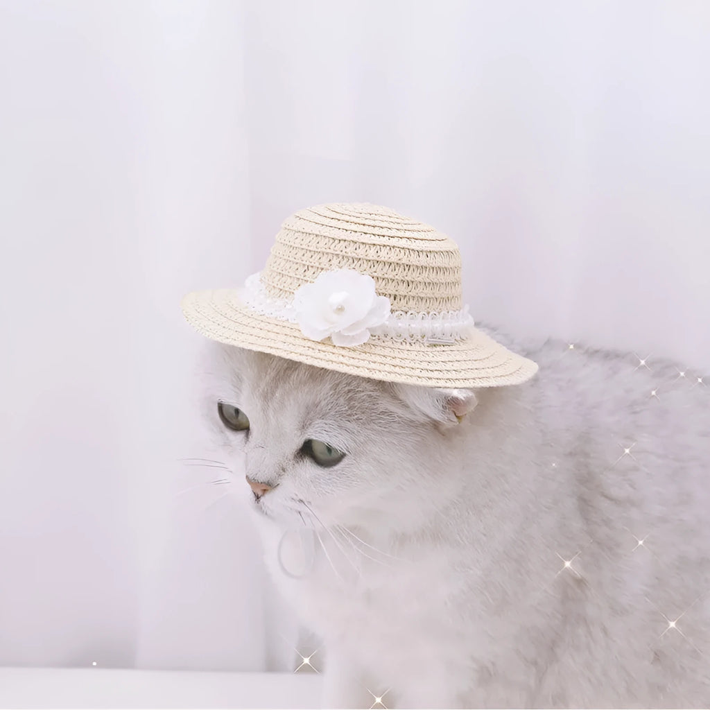 Handmade adjustable bowknot paper pet hat for dogs and cats in cartoon design