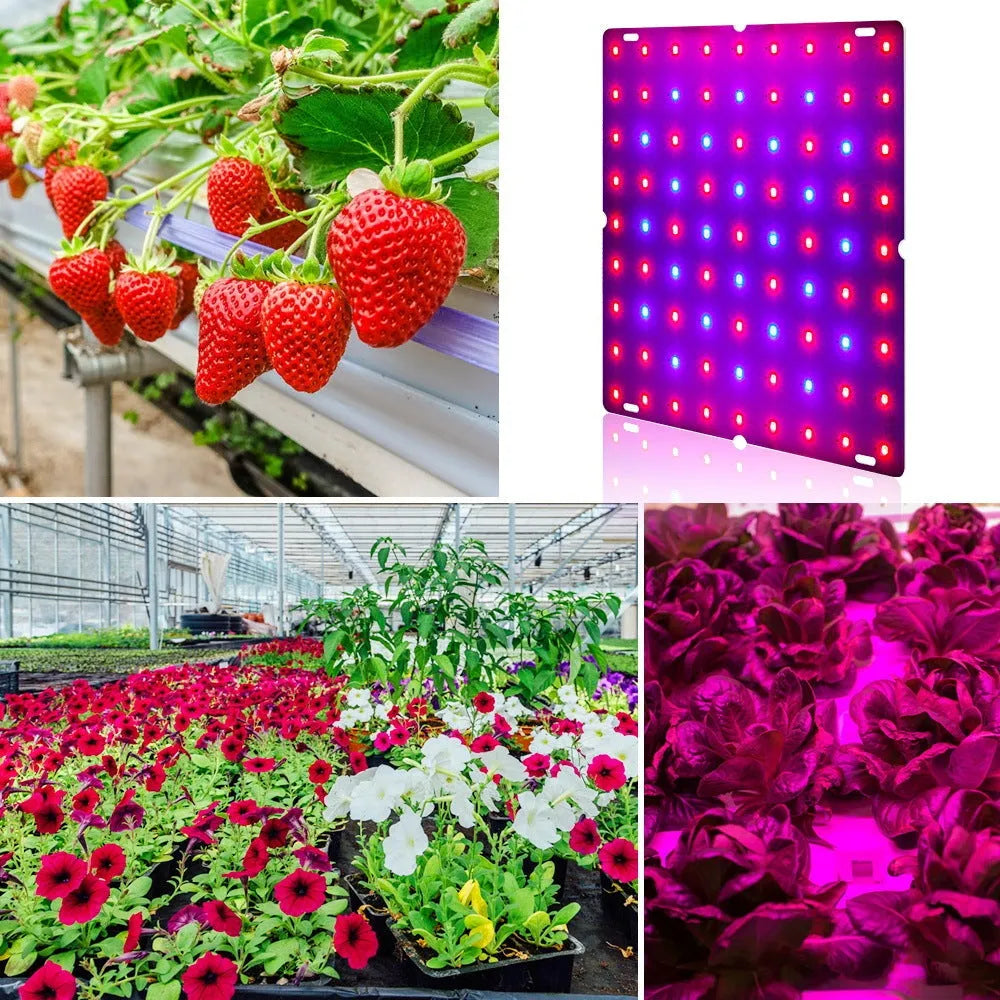 D-section aluminium LED plant grow light with hanging hook for indoor vegetable gardening