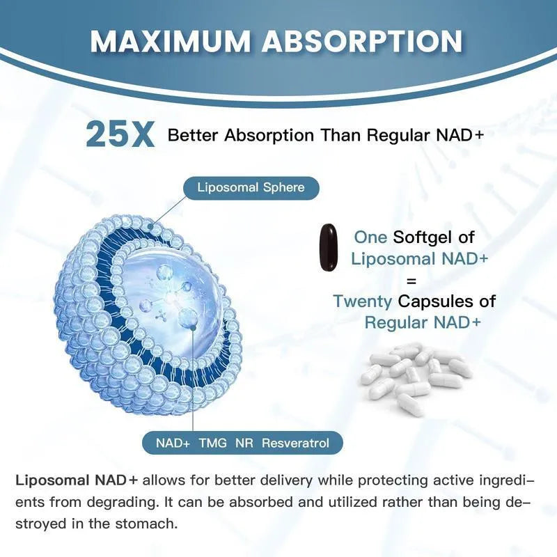 Bottle of Nicotinamide Mononucleotide Gel capsules, available in 60 or 120 count options.
