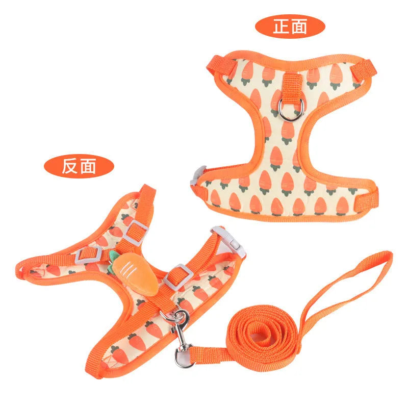Reflective orange dog walking vest with chest strap and matching hand-held rope for small dogs.